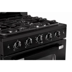 Unique Classic Retro Black 30-in 4 Burners 3.9-cu Ft Manual Cleaning Convection Oven Freestanding Gas Range
