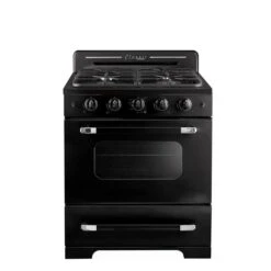 Unique Classic Retro Black 30-in 4 Burners 3.9-cu Ft Manual Cleaning Convection Oven Freestanding Gas Range -Cheap My Cook Nest Store 330975696 MainImage 001 l