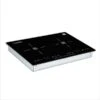 Equator Advanced Appliances BIC 202 20-in 2 Elements Black Induction Cooktop Downdraft Exhaust