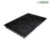 Equator Advanced Appliances BIC 304 30-in 4 Elements Black Induction Cooktop Downdraft Exhaust