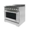 NXR LS 36-in 6-Burner Manual Cleaning Convection Oven Freestanding Gas Range (Stainless Steel)