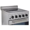 Unique Prestige 20-in 1.6 Cu. Ft. Freestanding Electric Range With Convection Oven