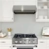 Ancona 30-in Gas Range And Convection Oven In Stainless Steel With White Door