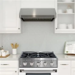 Ancona 30-in Gas Range And Convection Oven In Stainless Steel With White Door